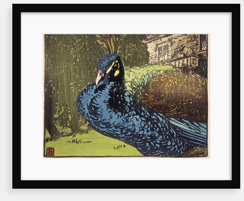 Peacock by Allen William Seaby